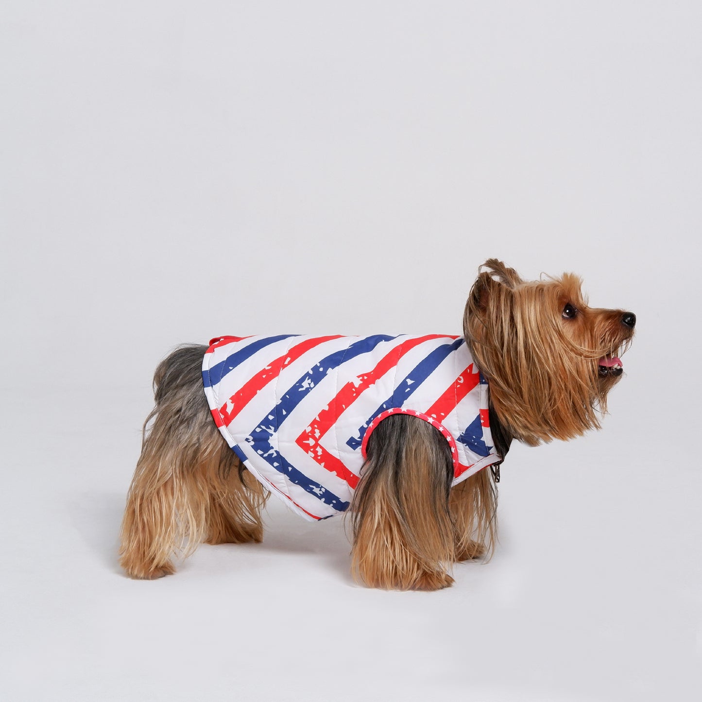 Chaqueta AmericanStars