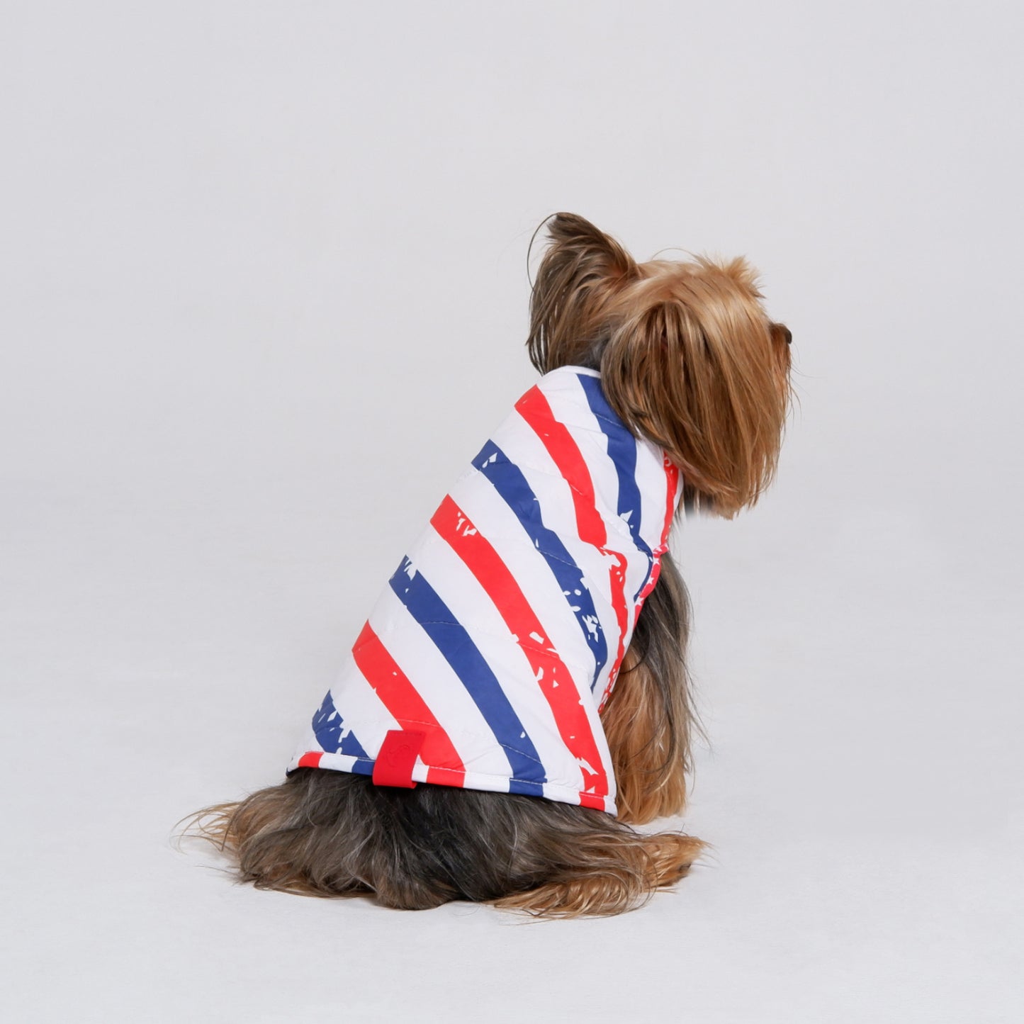 Chaqueta AmericanStars