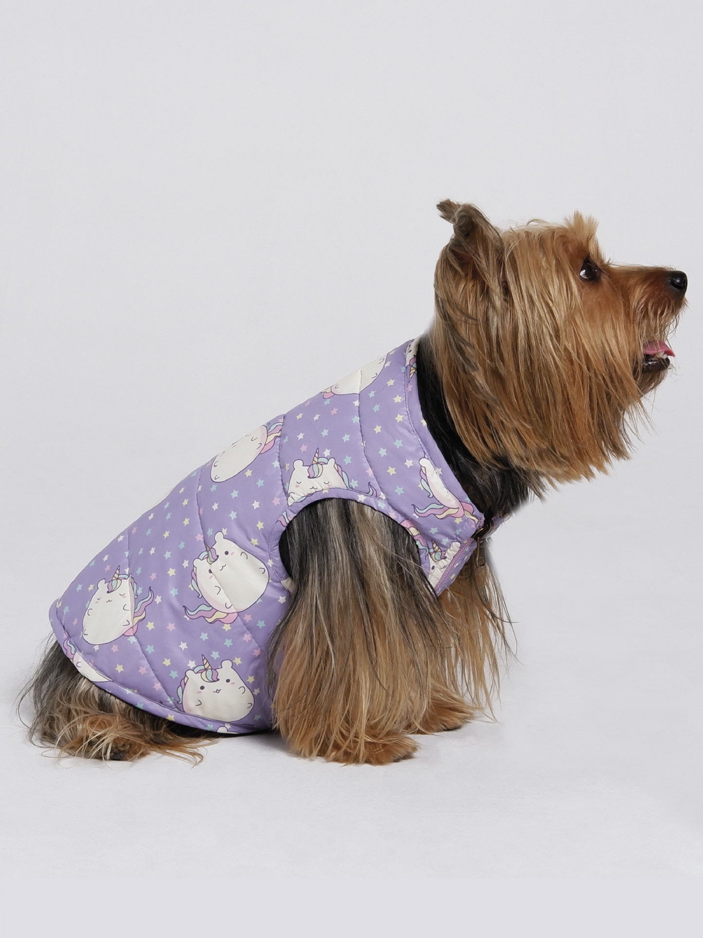 Chaqueta ReverUnicorn
