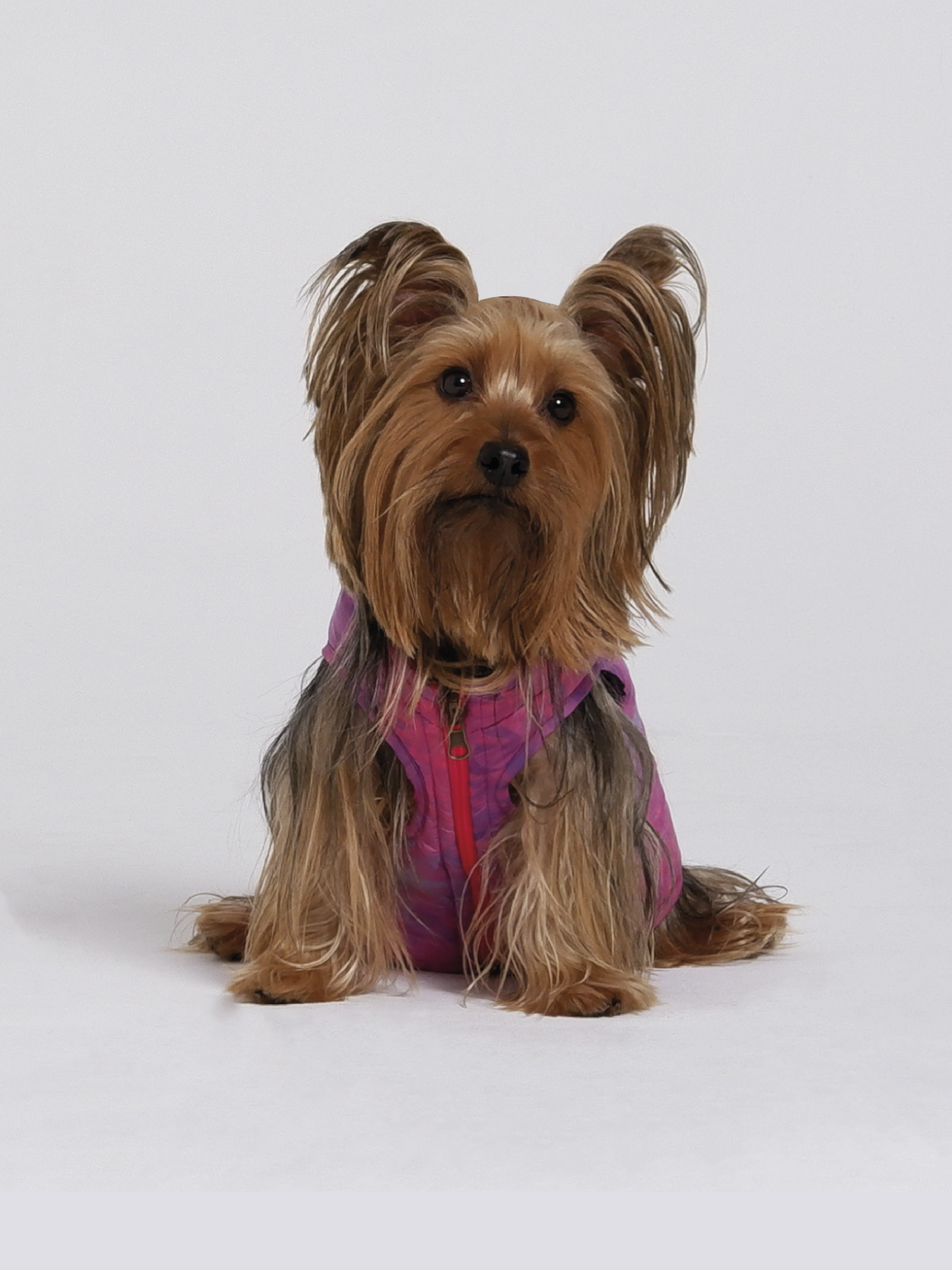 Chaqueta DualRainbow