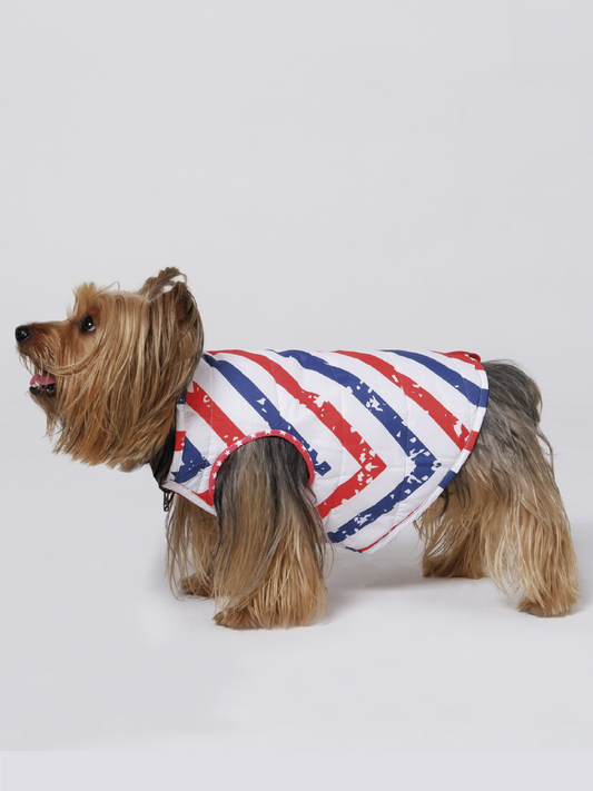 Chaqueta AmericanStars