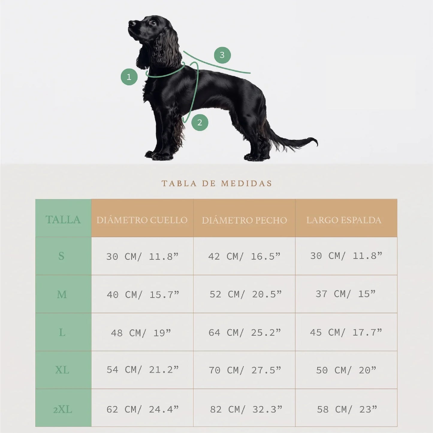 Chaqueta ReverUnicorn