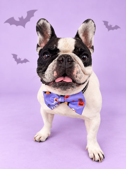 Corbatín Halloween Lila