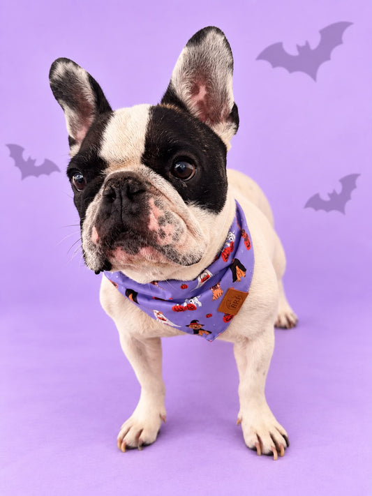 Pañoleta Halloween Lila
