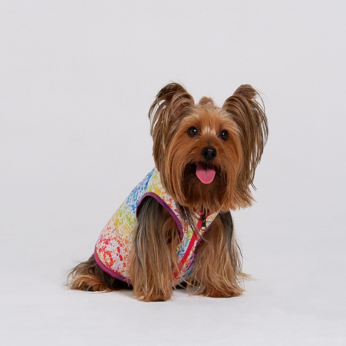 Chaqueta DualRainbow