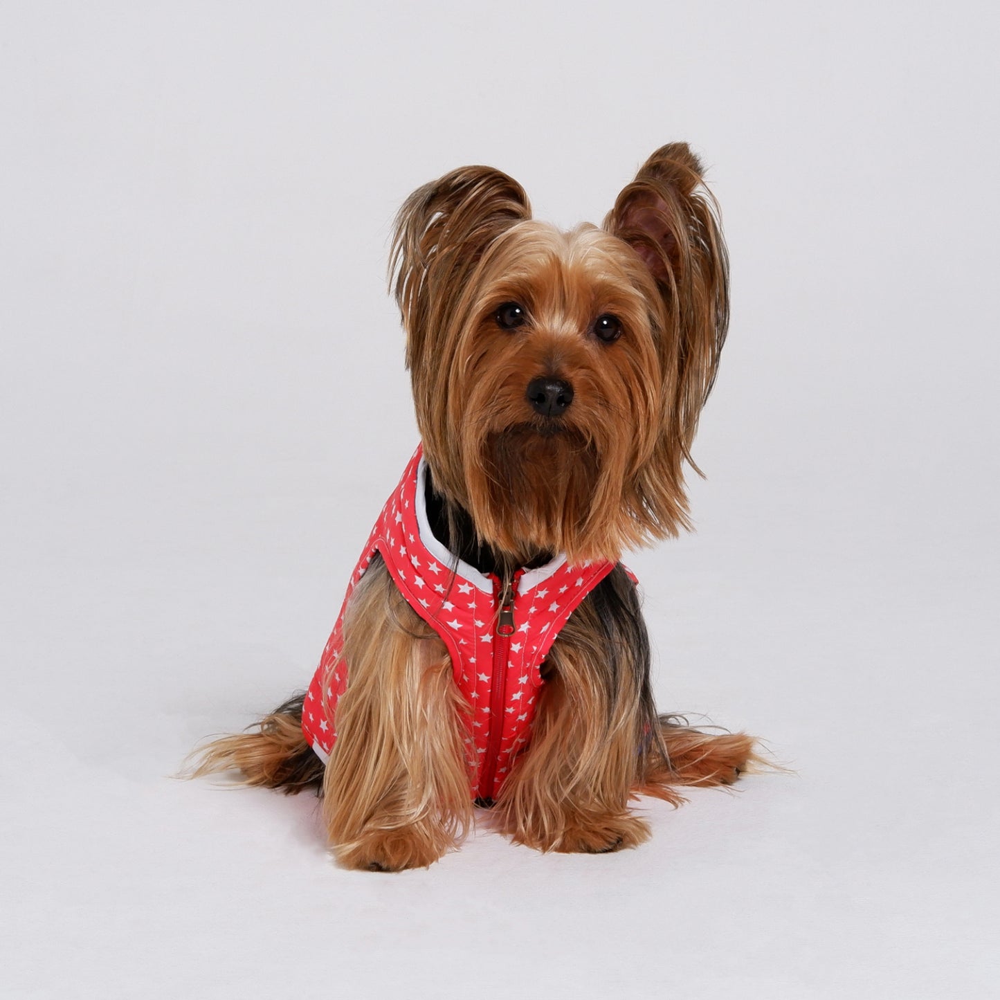 Chaqueta AmericanStars