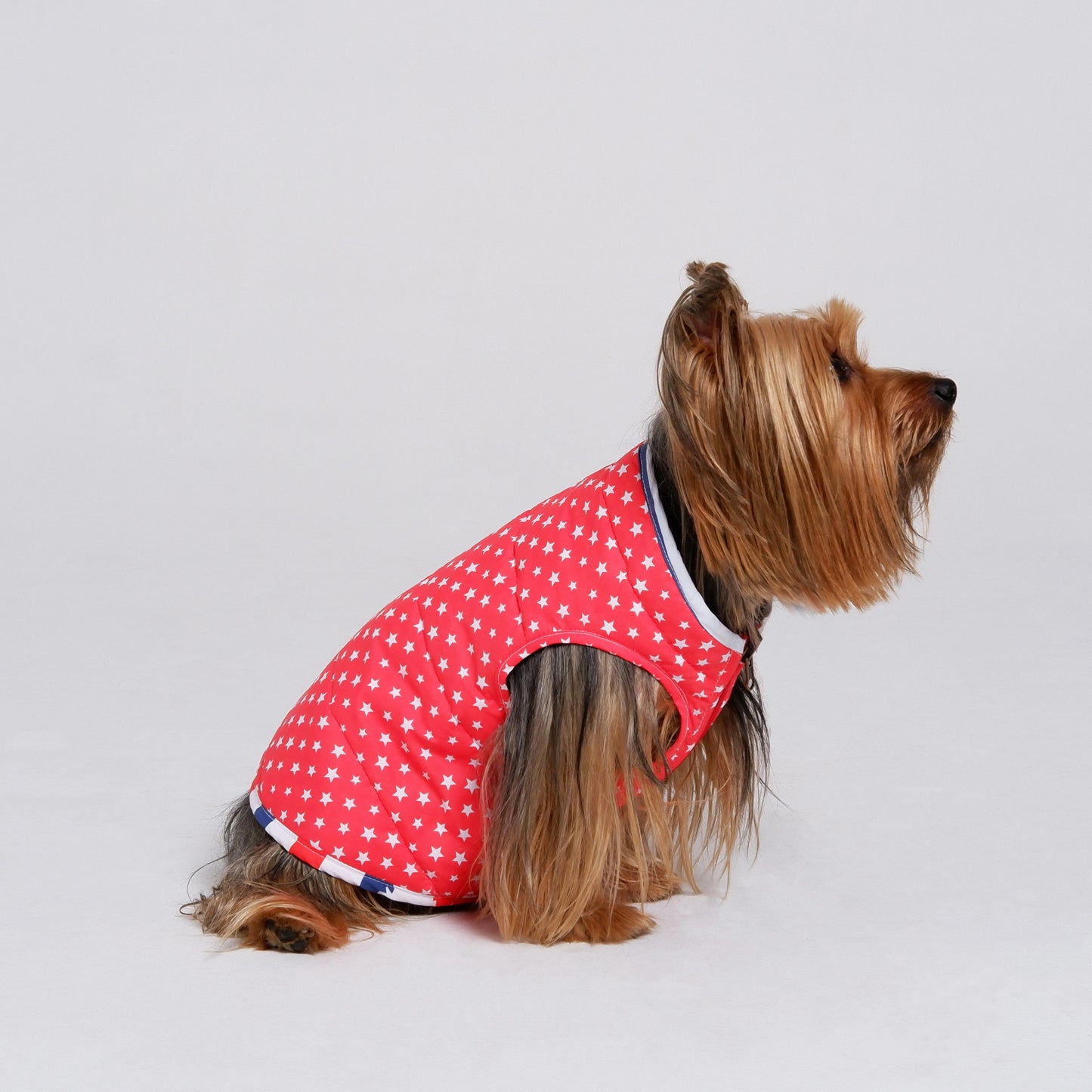 Chaqueta AmericanStars