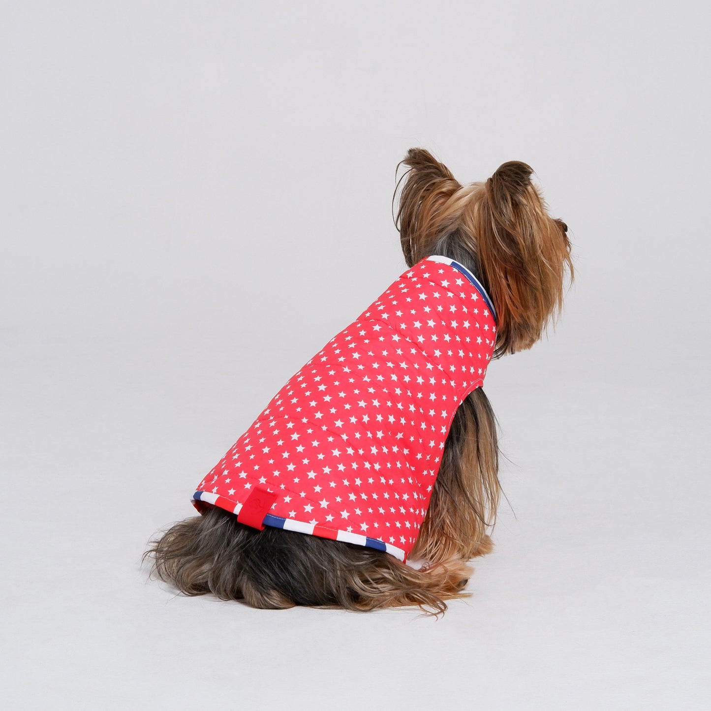 Chaqueta AmericanStars