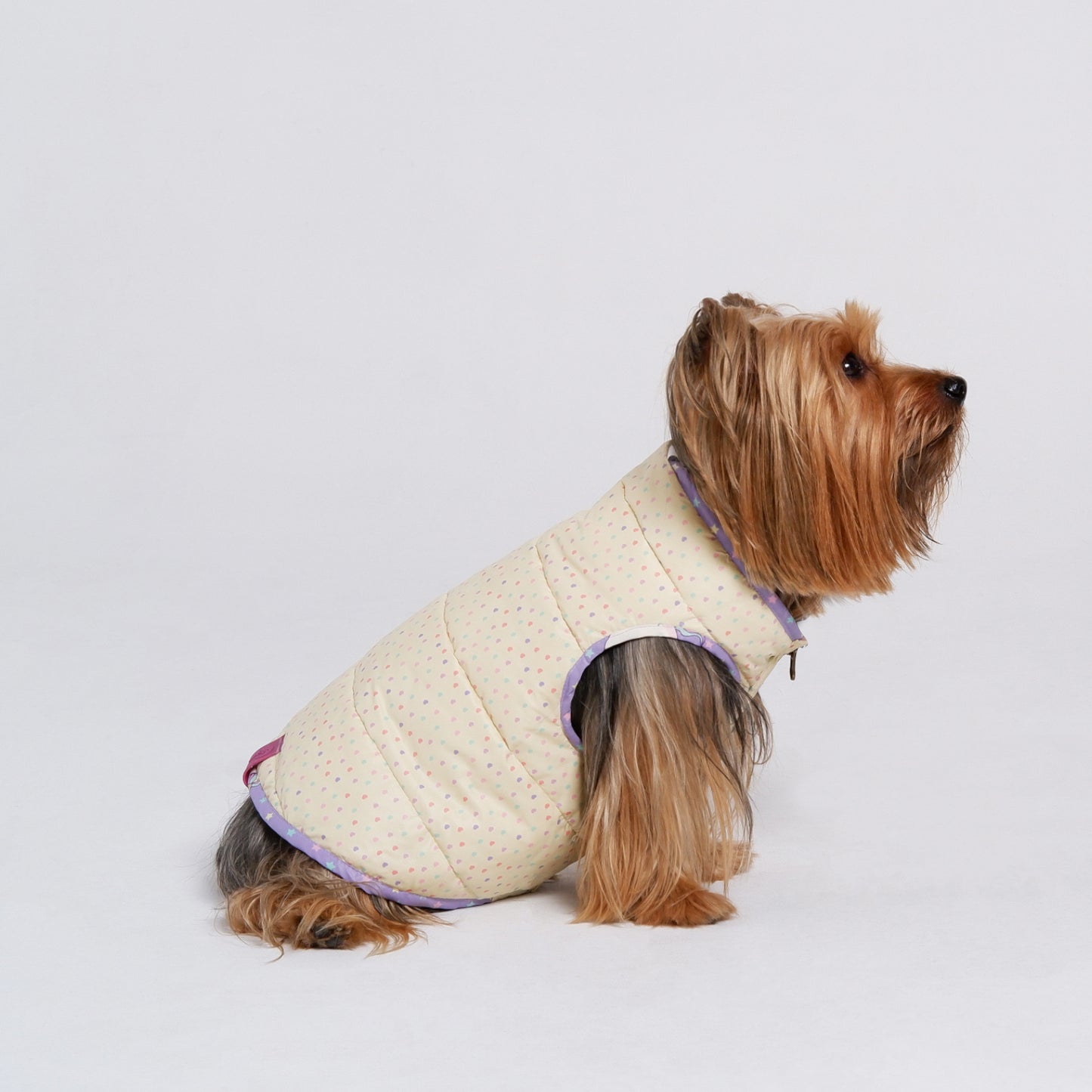 Chaqueta ReverUnicorn