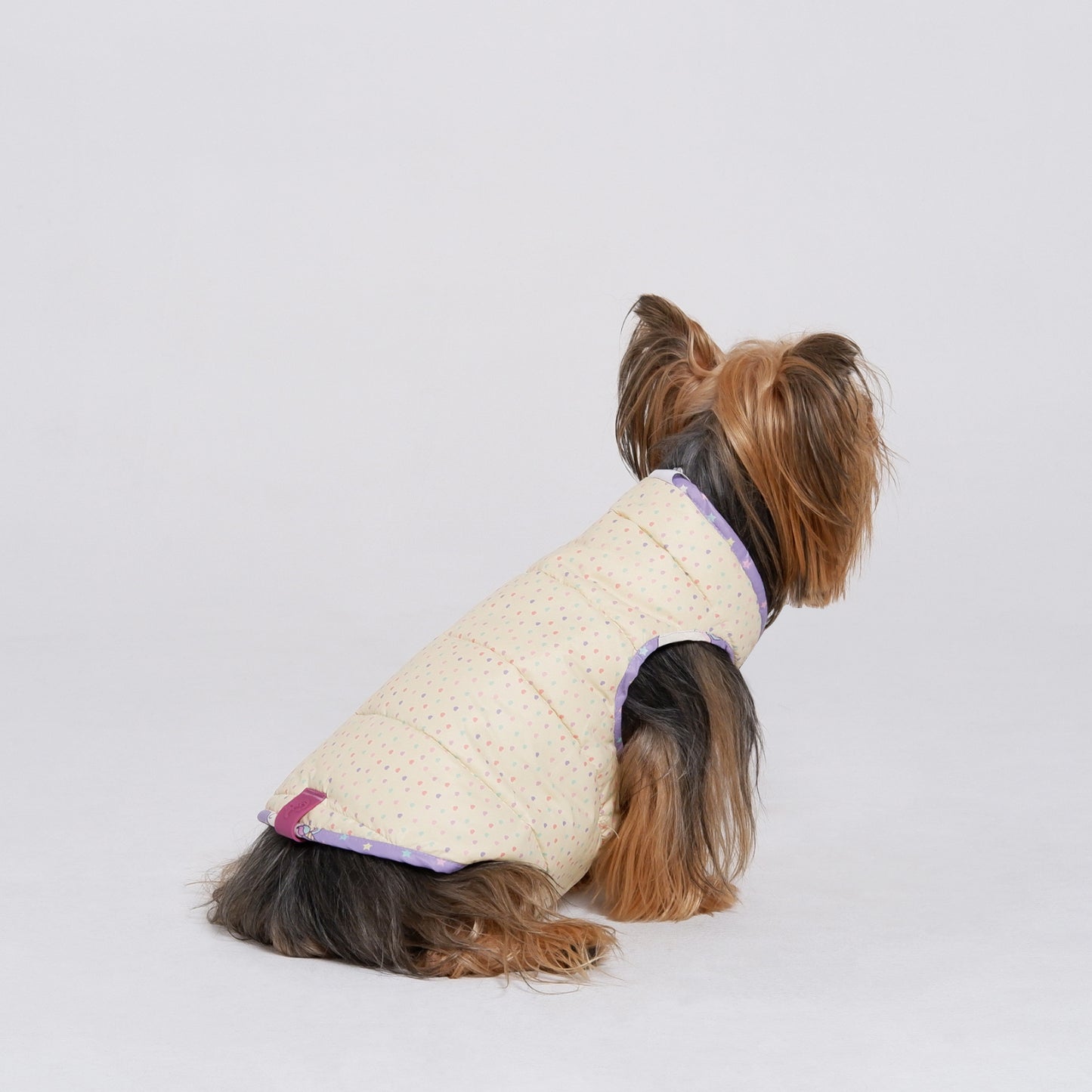 Chaqueta ReverUnicorn