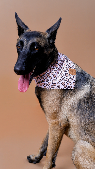 Pink Animal Print Pet Bandana