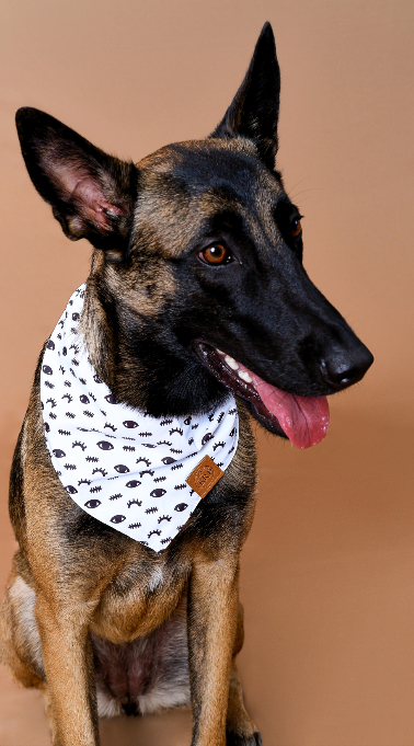 Pañoleta negra de ojitos