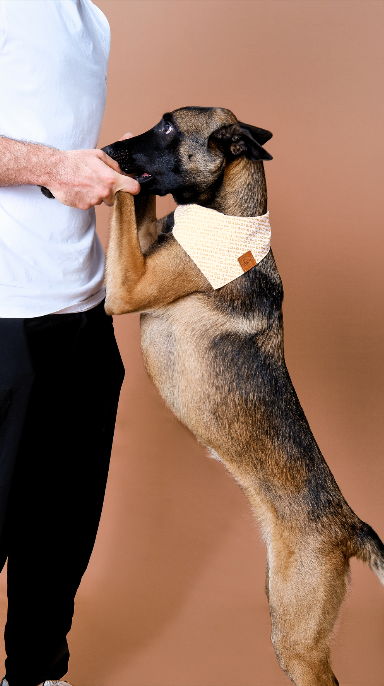 Pañoleta blanca con cruces amarillas