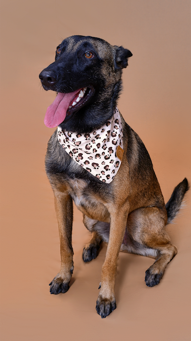 Pañoleta Animal Print Beige