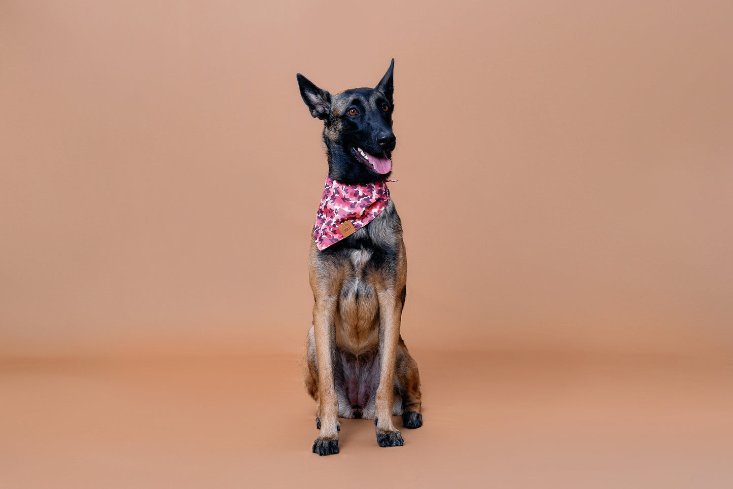 Camo Pet Bandana