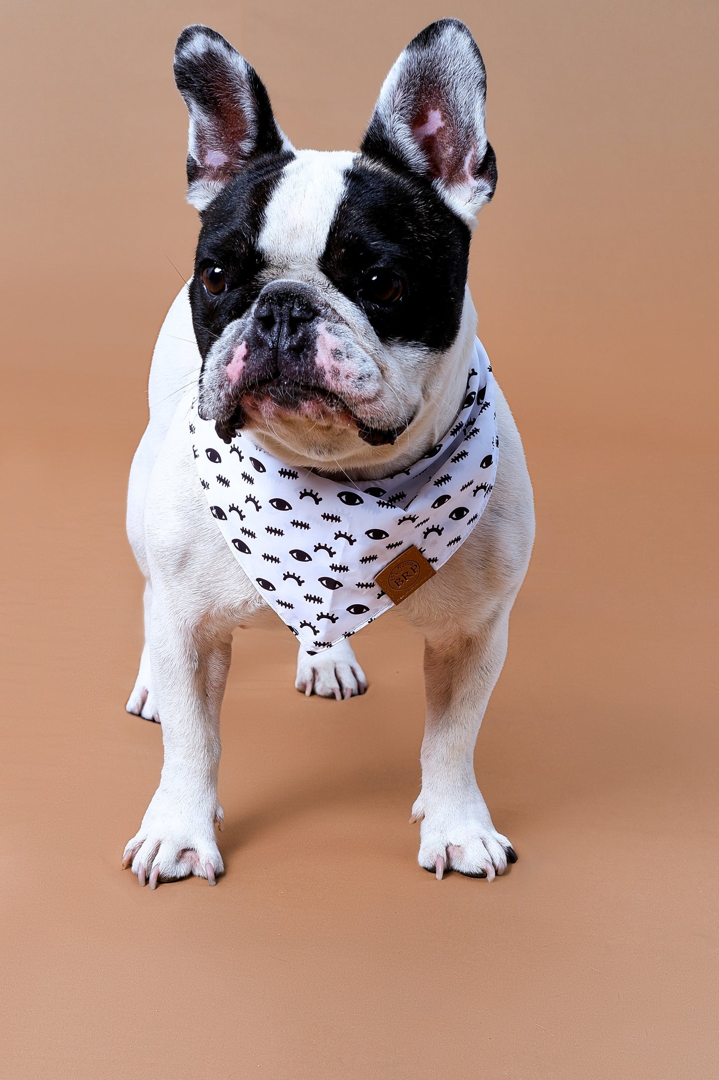 Pañoleta negra de ojitos