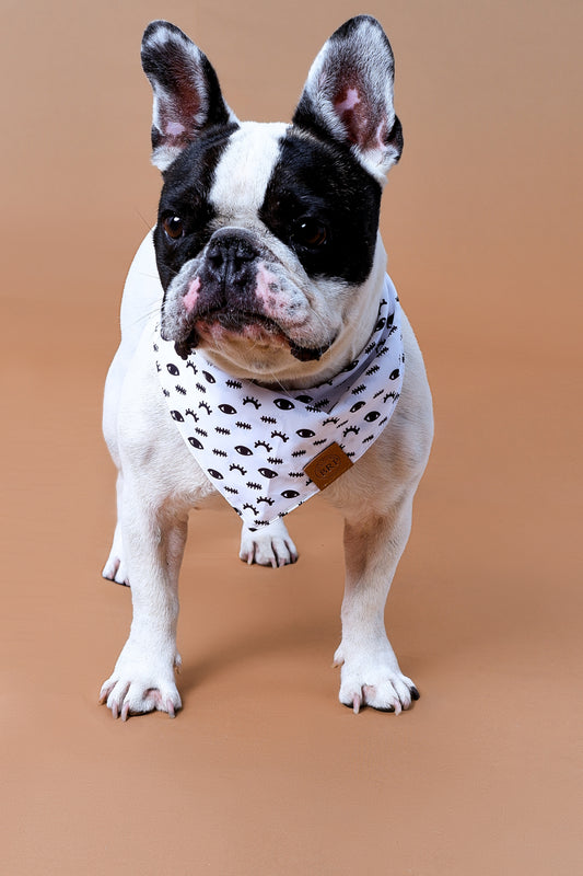 Pañoleta negra de ojitos