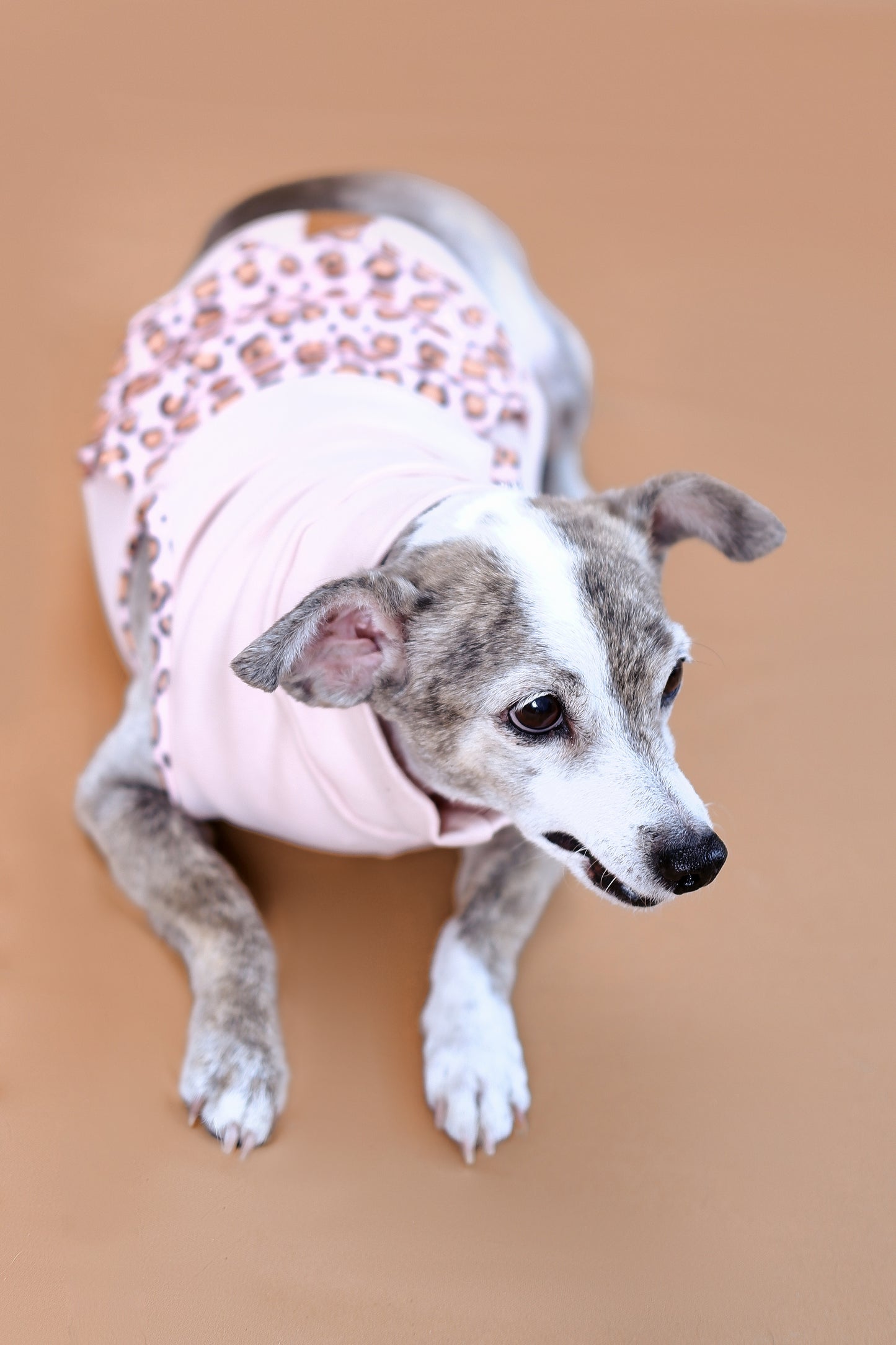 Rosa Animal Print Turtleneck