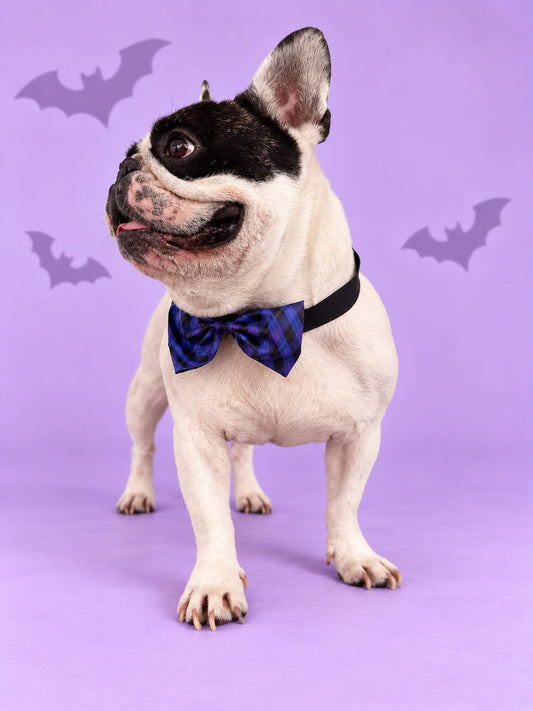 Corbatín Halloween Cuadros Azul