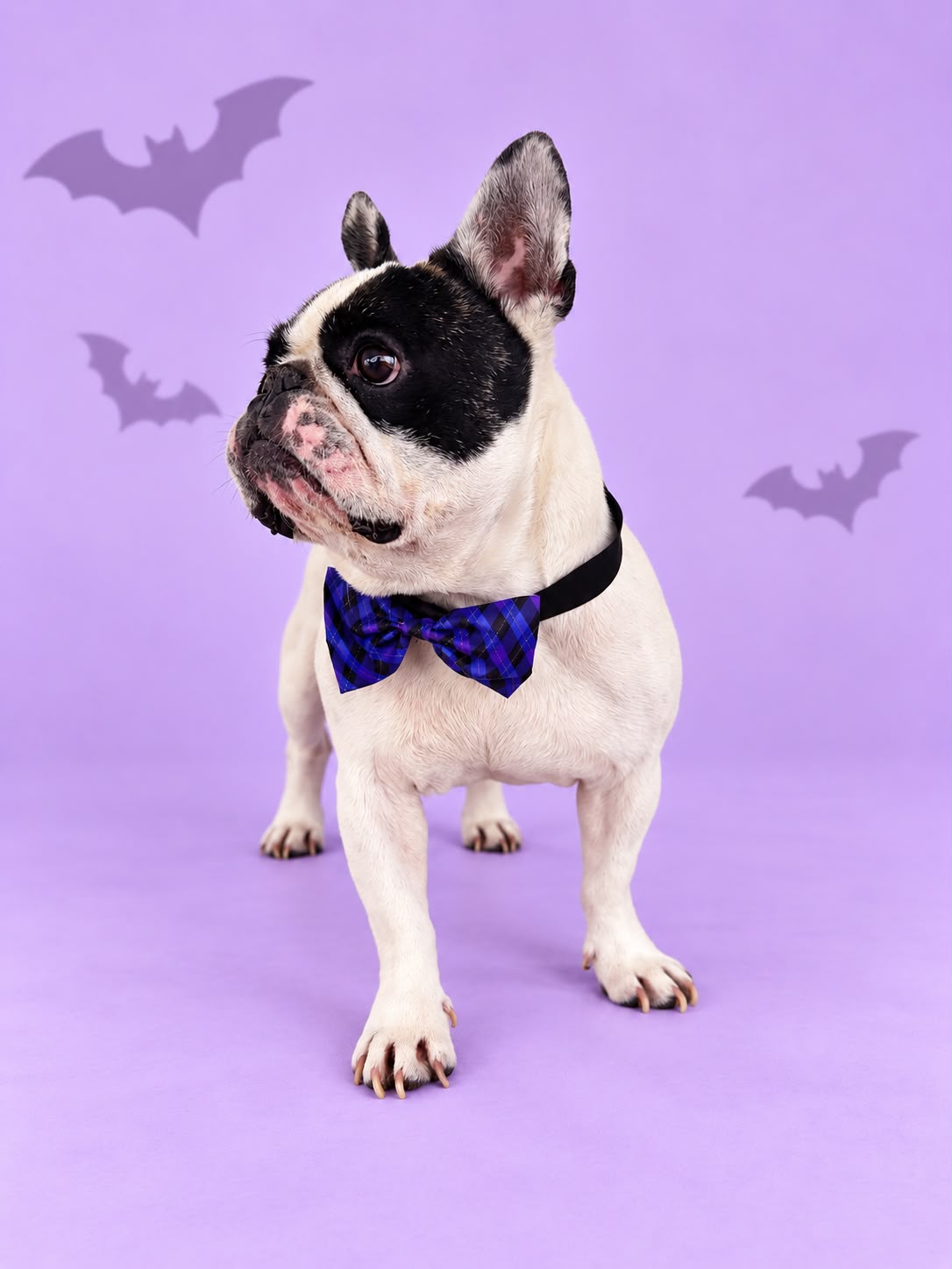 Corbatín Halloween Cuadros Azul