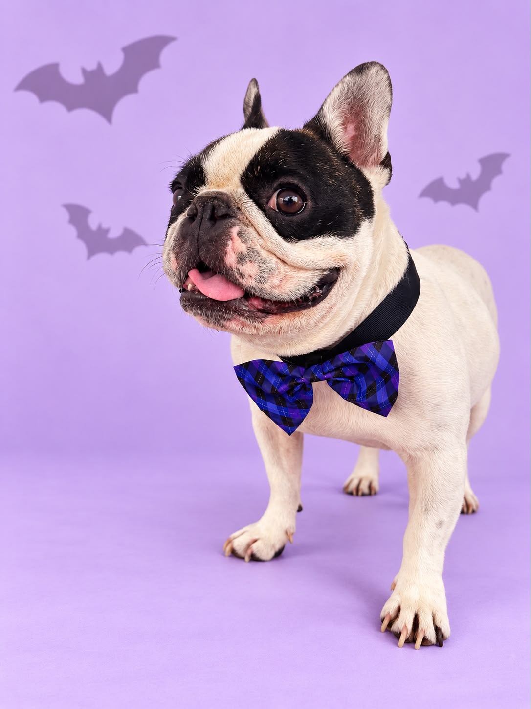 Corbatín Halloween Cuadros Azul