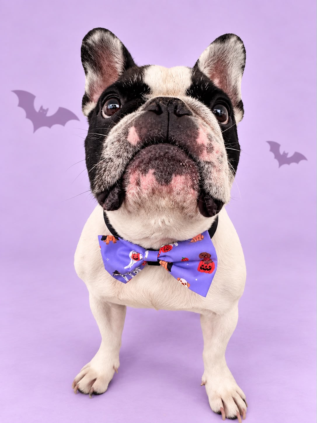 Corbatín Halloween Lila