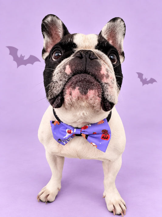 Corbatín Halloween Lila