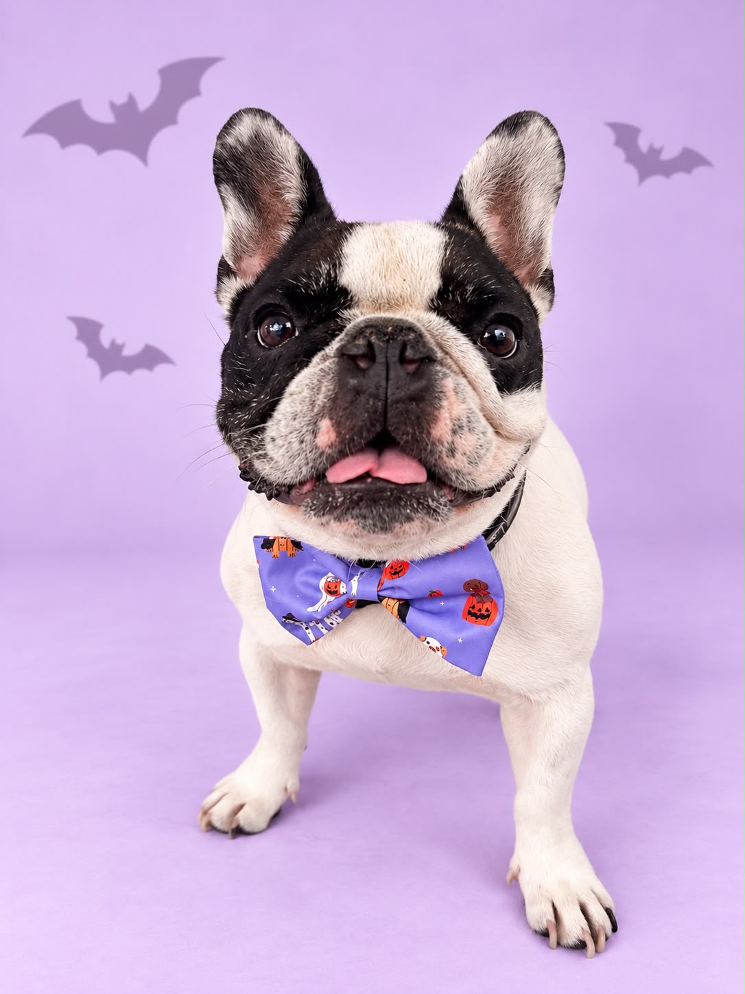Corbatín Halloween Lila