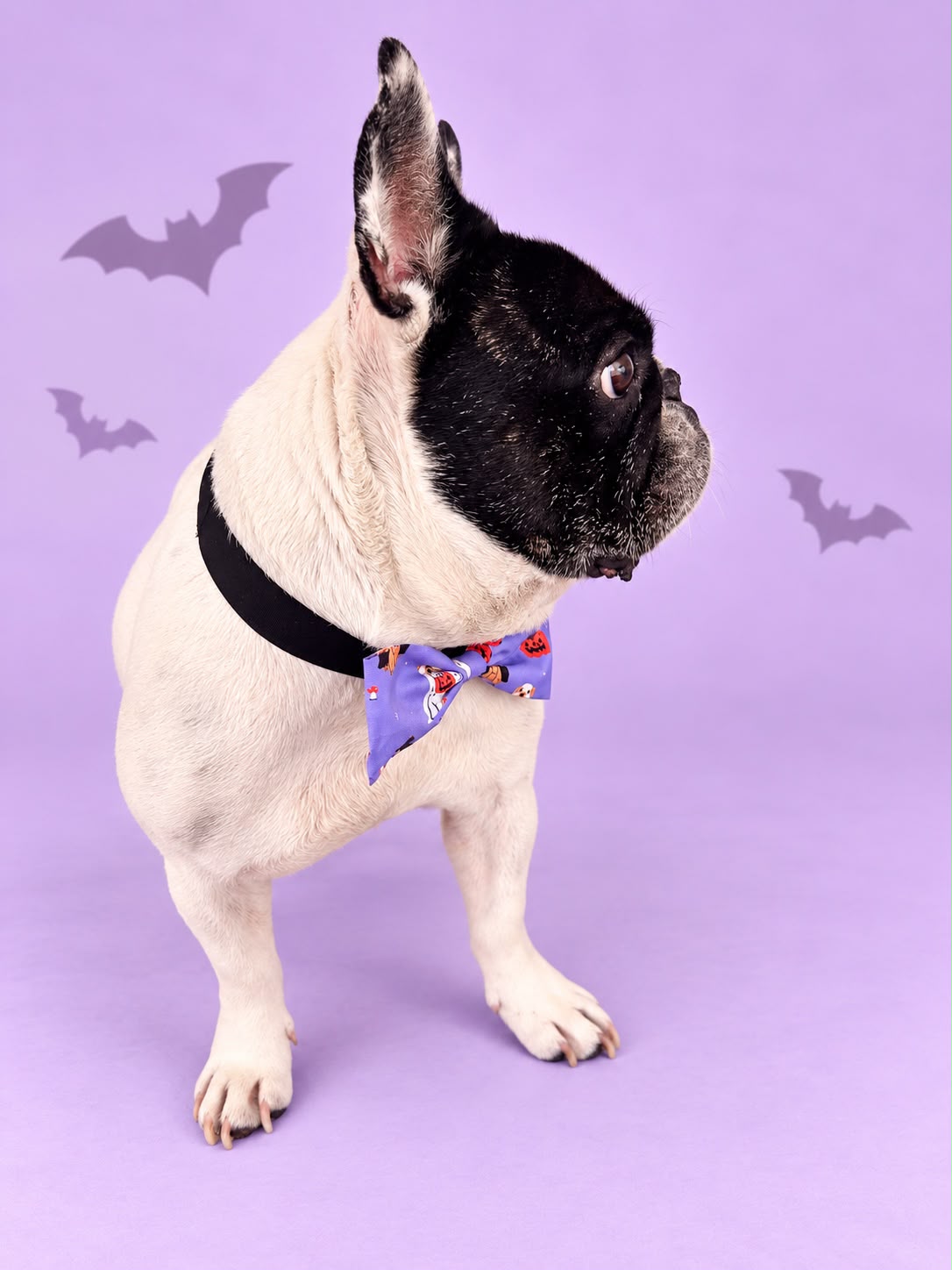 Corbatín Halloween Lila