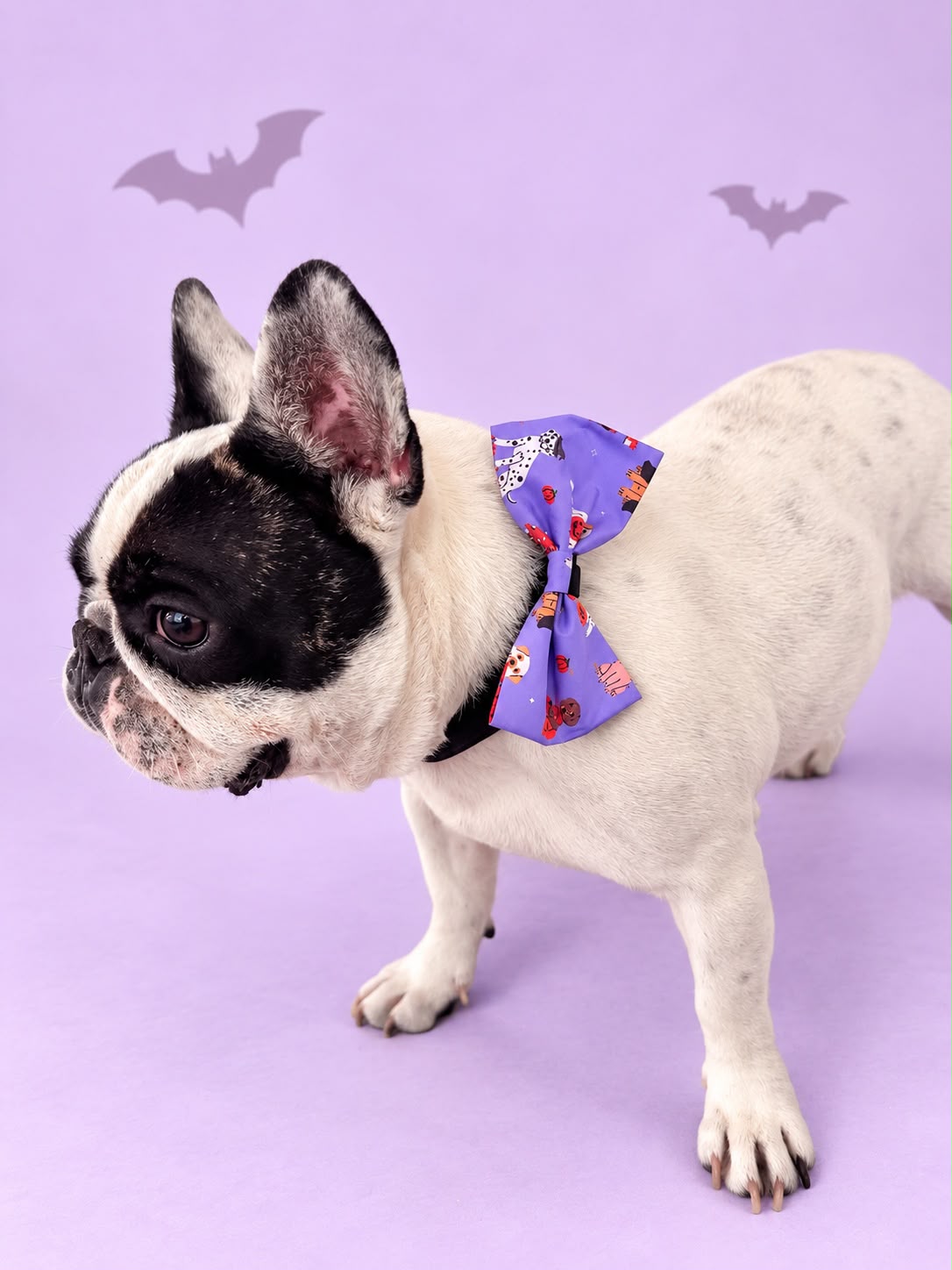 Corbatín Halloween Lila