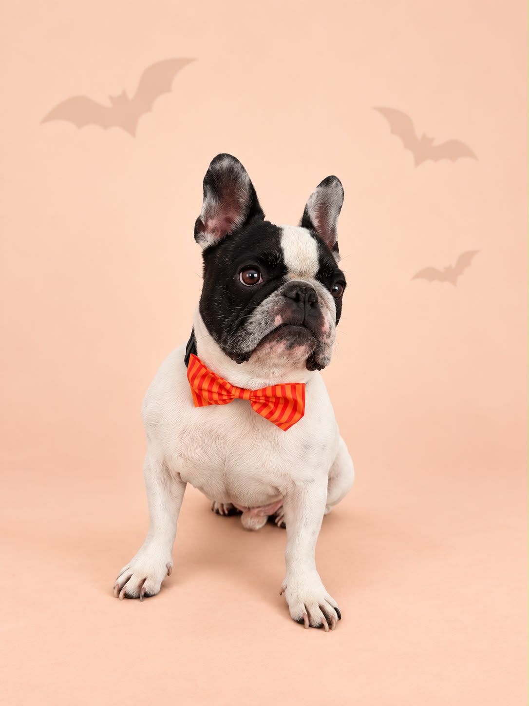 Orange Stripe Halloween Bow Tie