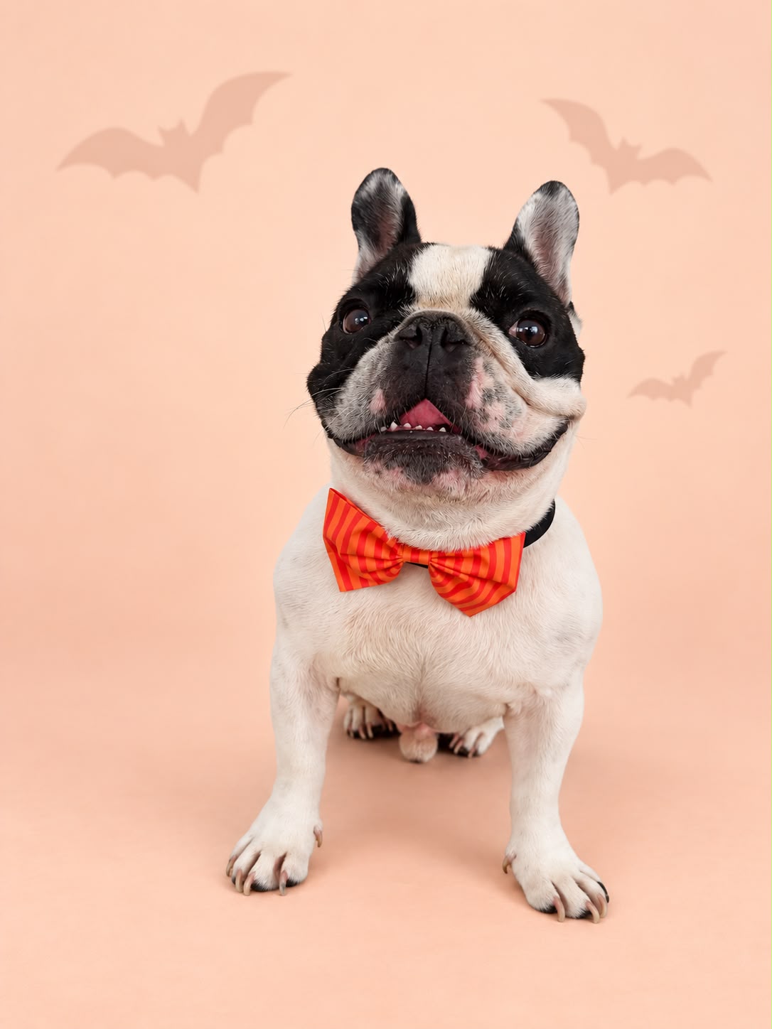 Orange Stripe Halloween Bow Tie
