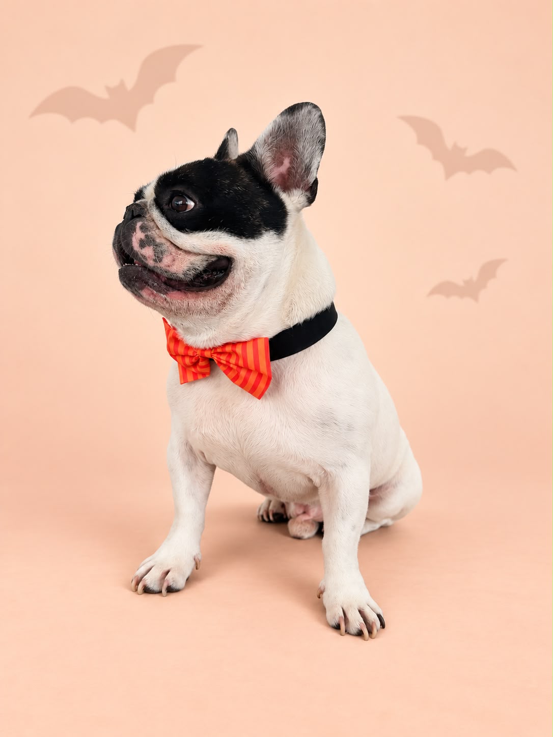 Orange Stripe Halloween Bow Tie