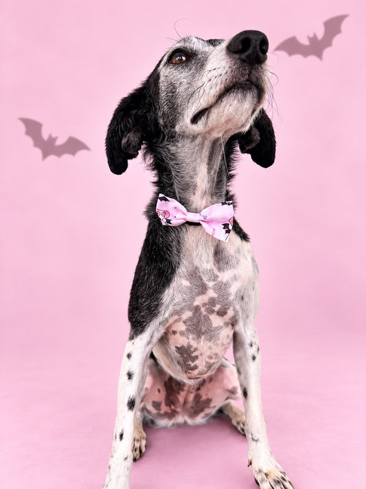 Corbatín Halloween Rosa