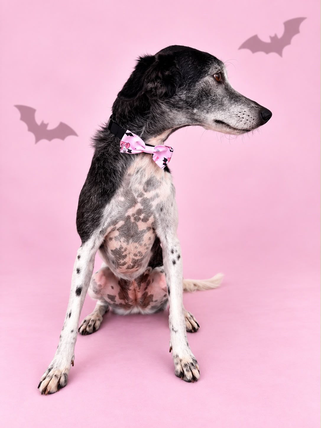 Corbatín Halloween Rosa