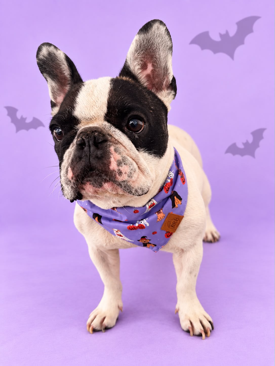 Pañoleta Halloween Lila
