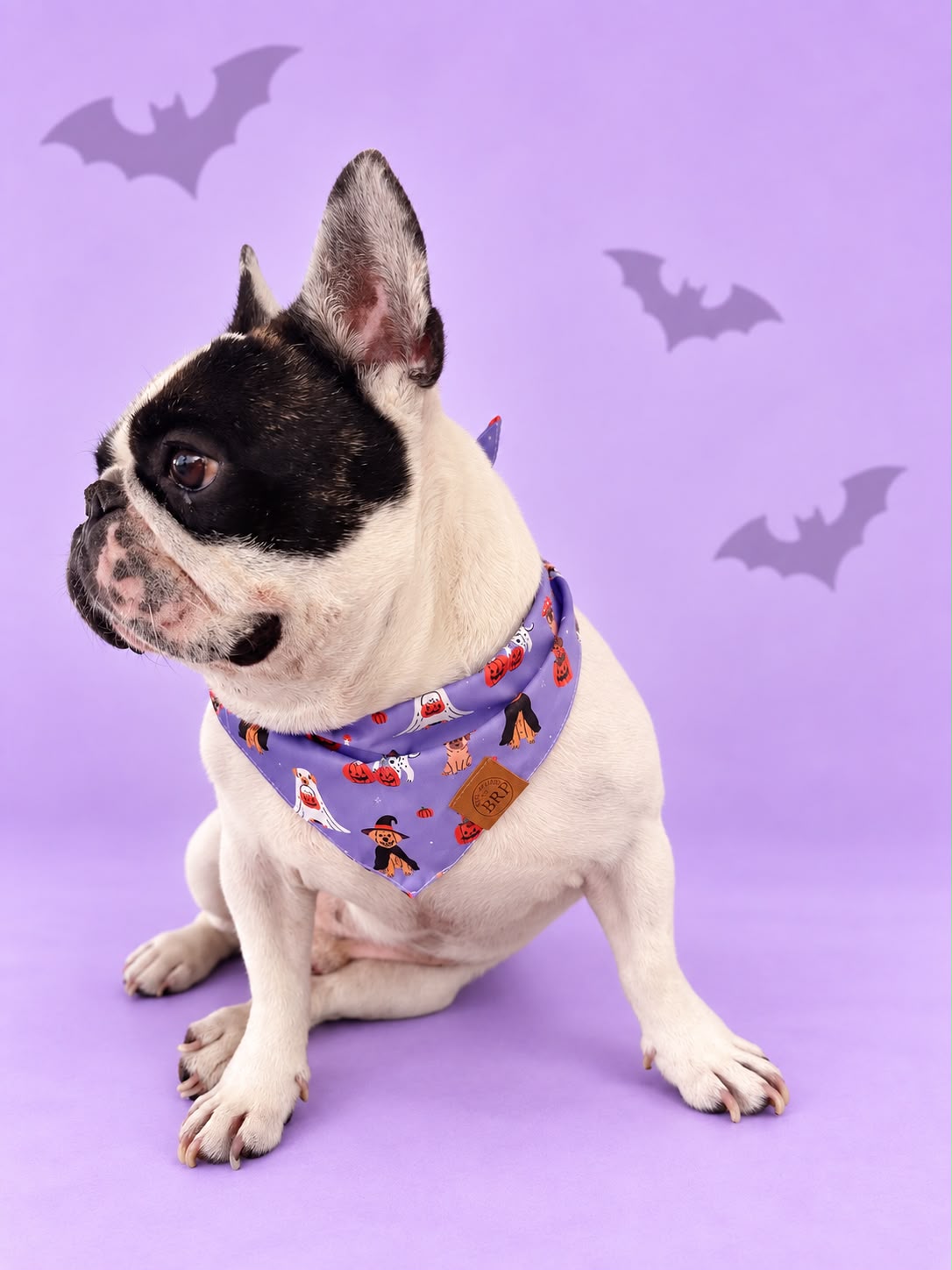 Pañoleta Halloween Lila