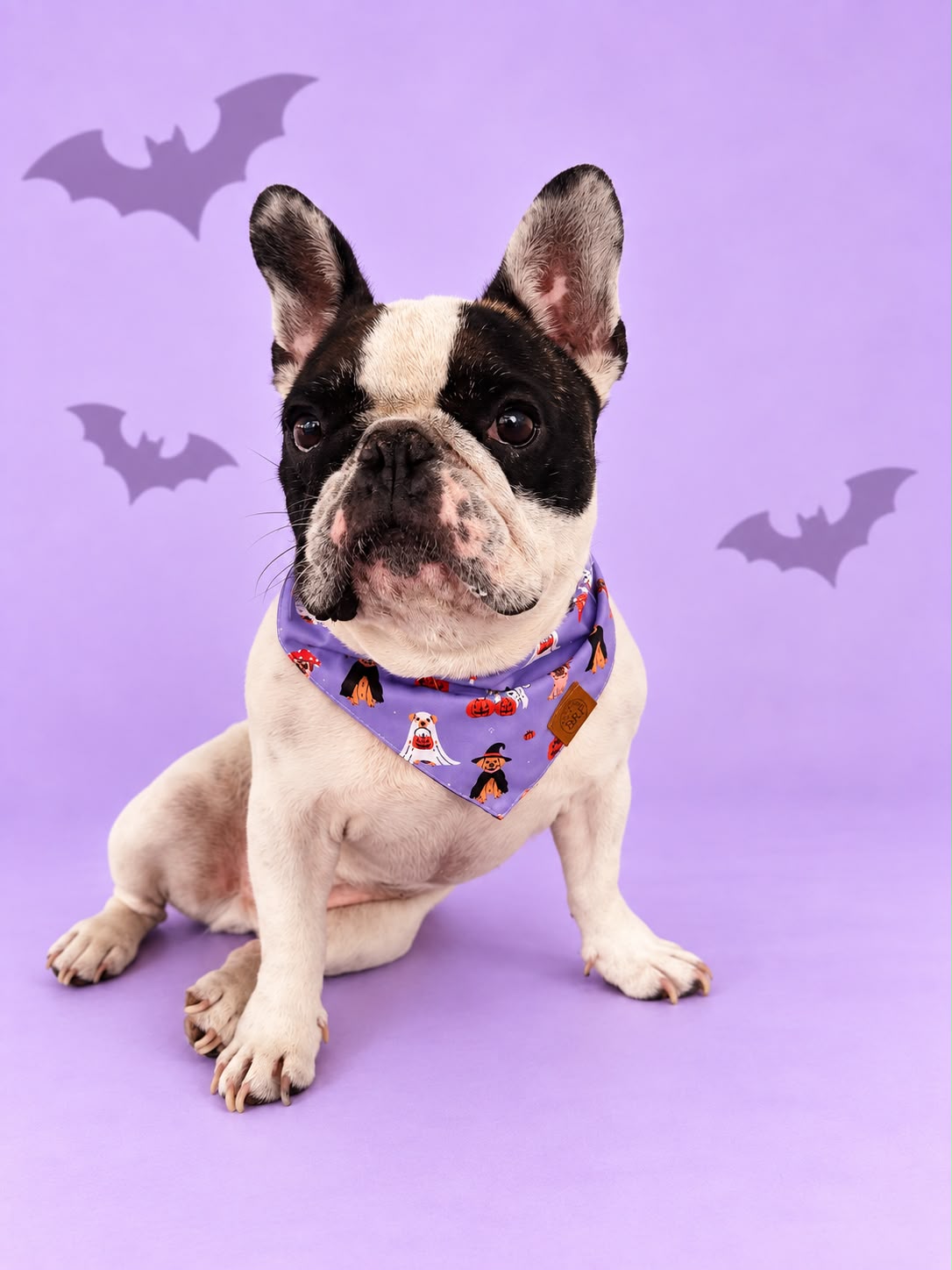 Pañoleta Halloween Lila