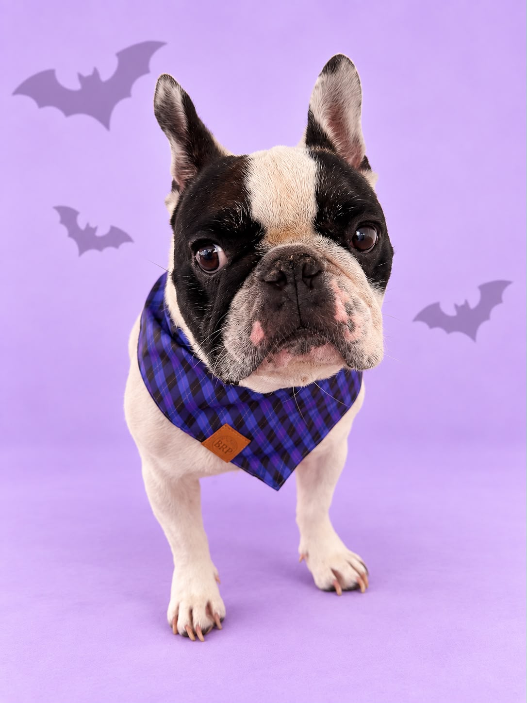 Pañoleta Halloween Lila