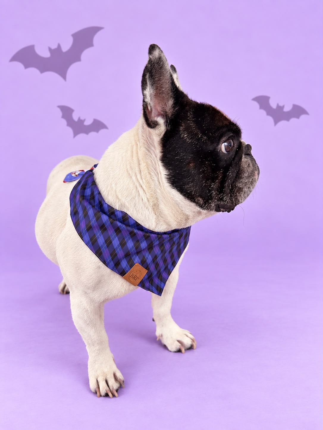 Pañoleta Halloween Lila