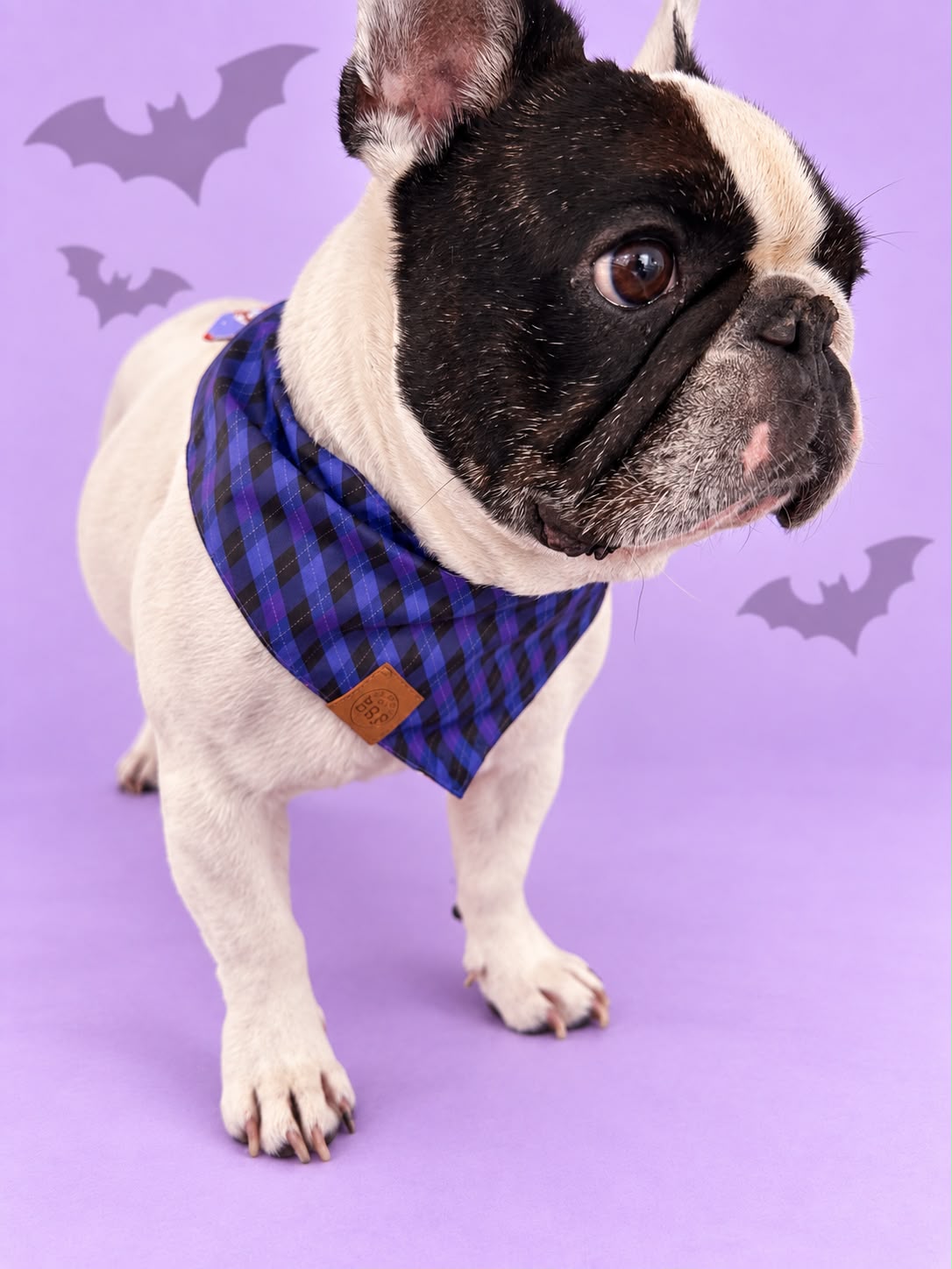 Pañoleta Halloween Lila