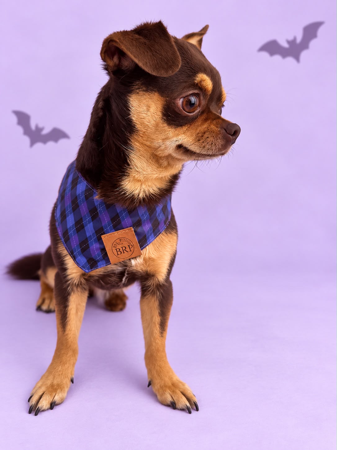 Pañoleta Halloween Lila