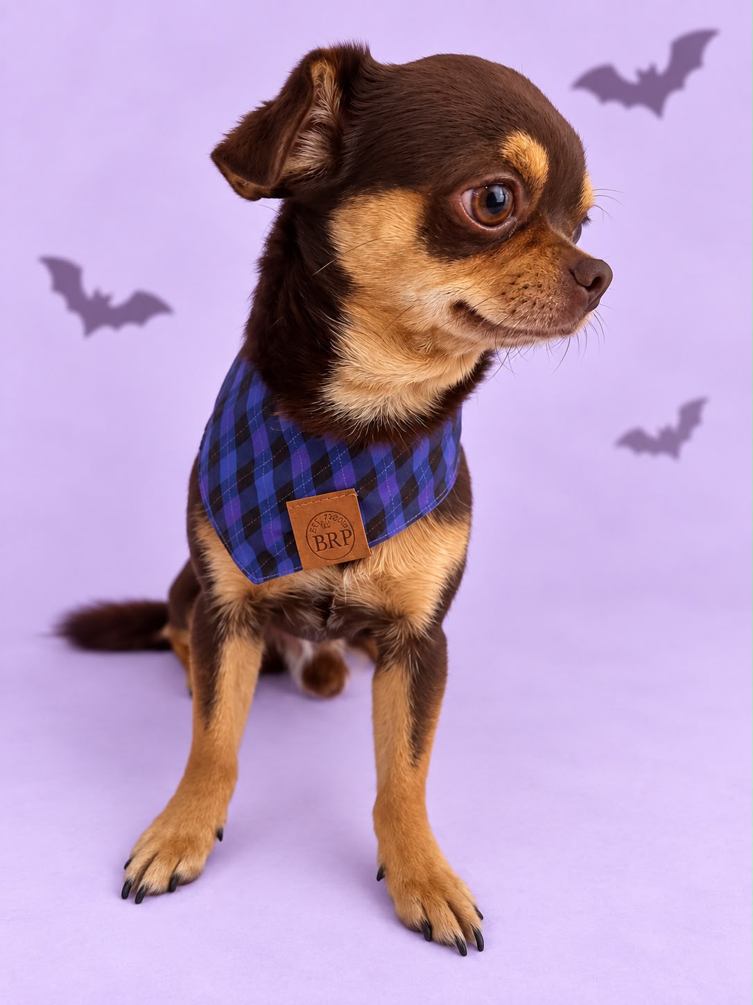 Pañoleta Halloween Lila