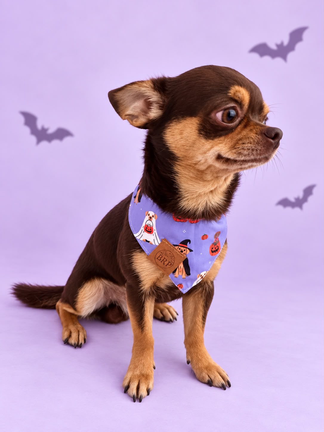 Pañoleta Halloween Lila