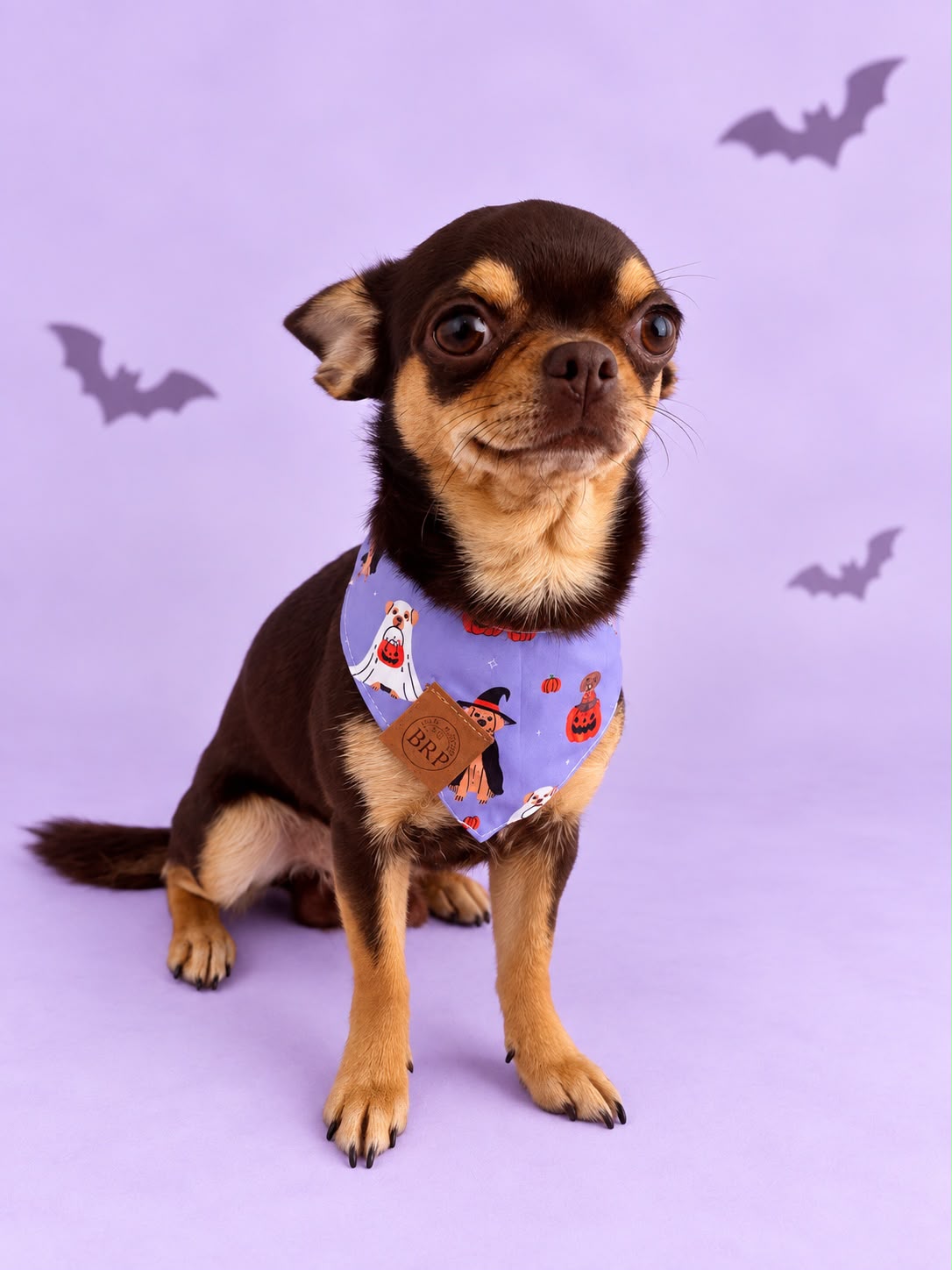 Pañoleta Halloween Lila