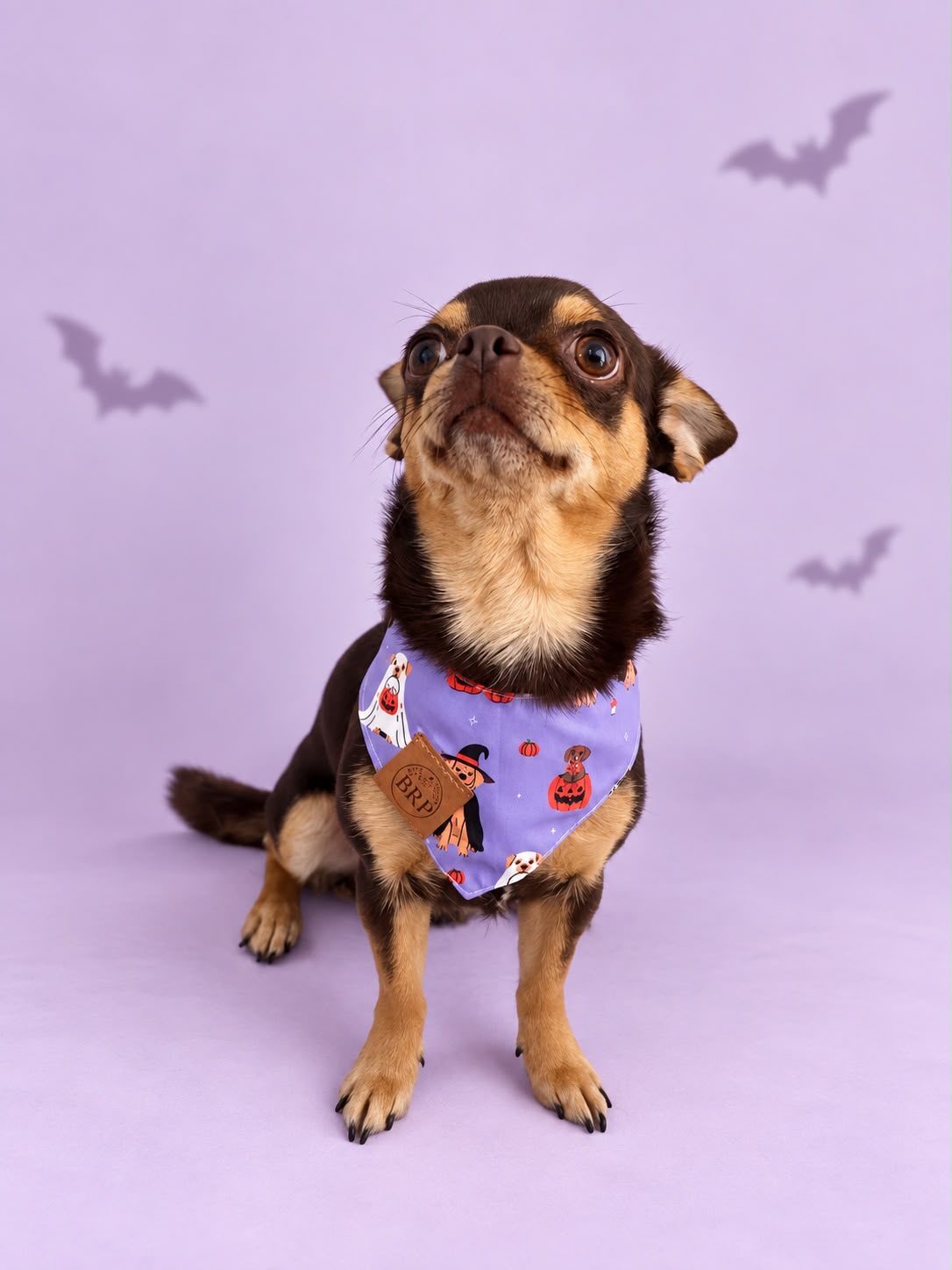 Pañoleta Halloween Lila