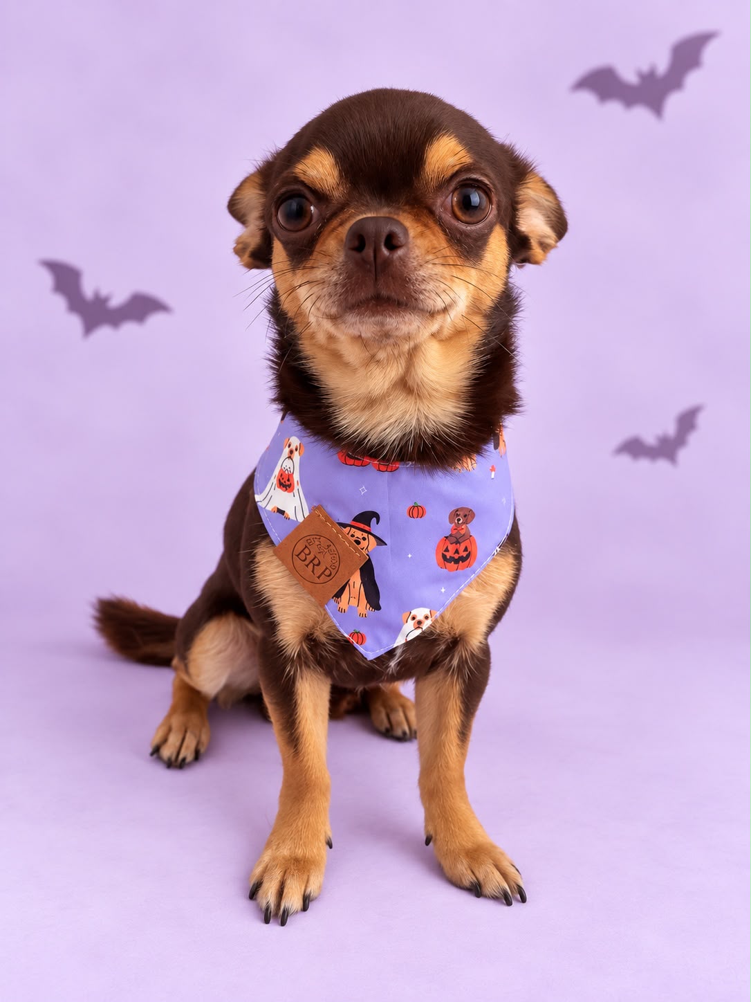 Pañoleta Halloween Lila