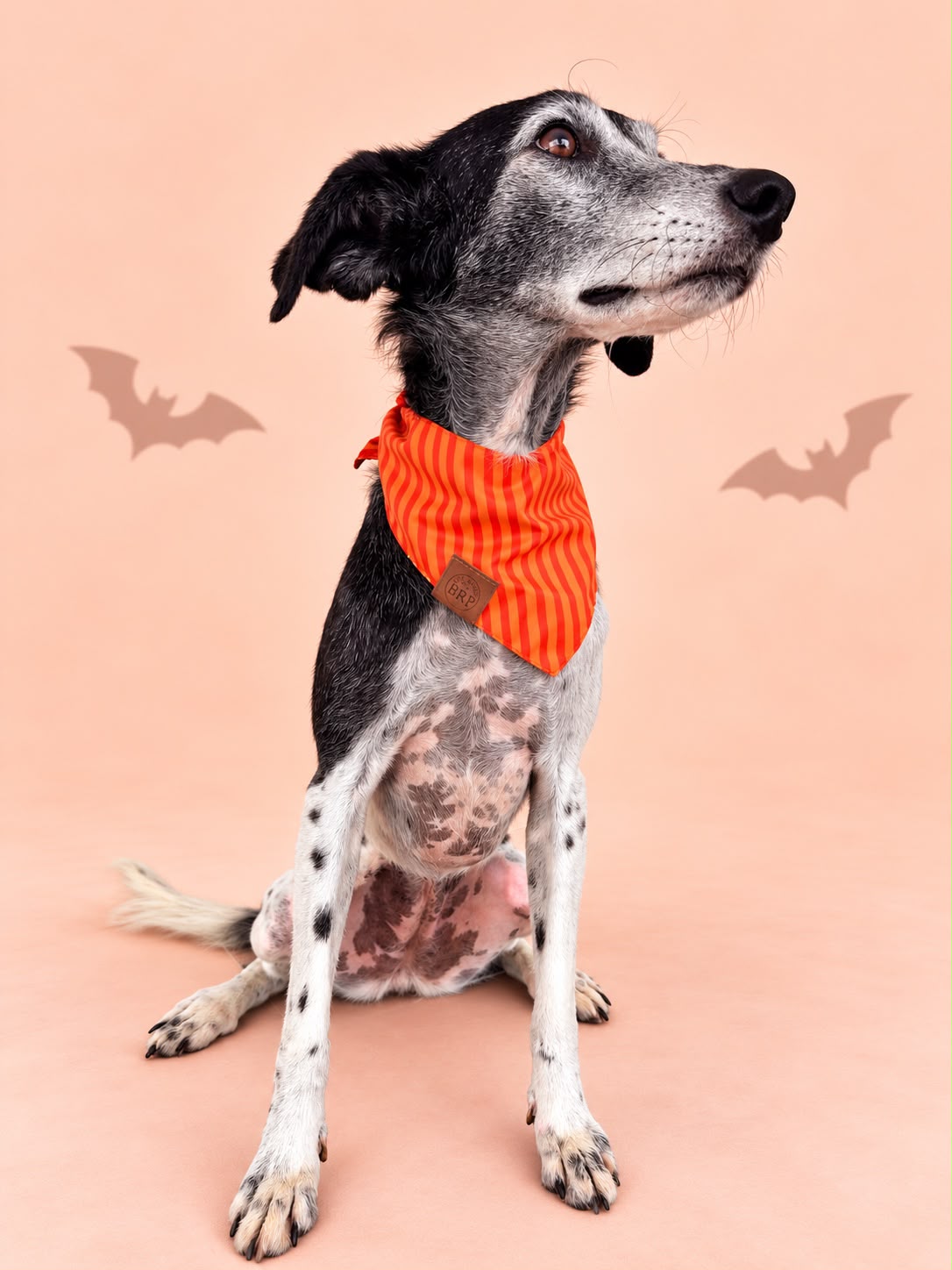 Pañoleta Halloween Naranja