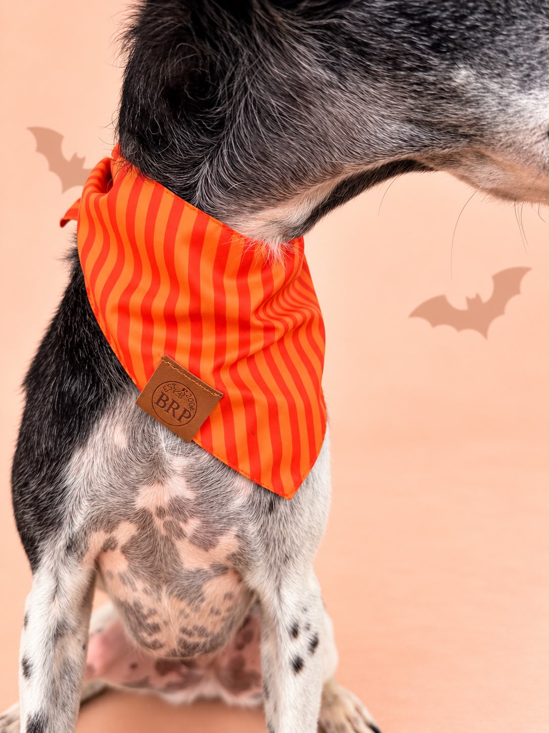 Pañoleta Halloween Naranja