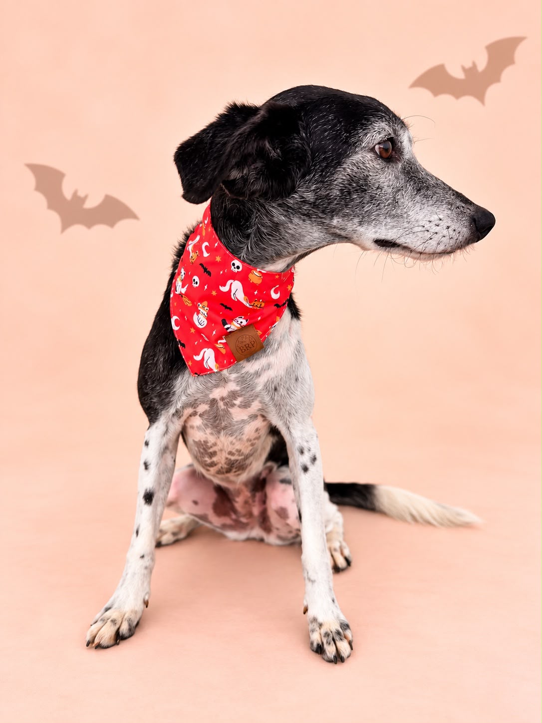 Pañoleta Halloween Naranja